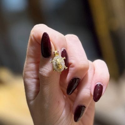 پایه لاکپشت‌